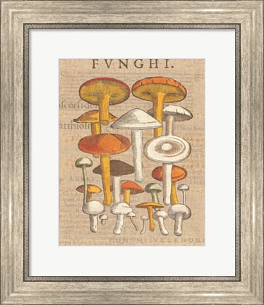 Framed Funghi Velenosi II Print