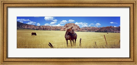 Framed Horses Grazing at Kolob Reservoir, Utah Print