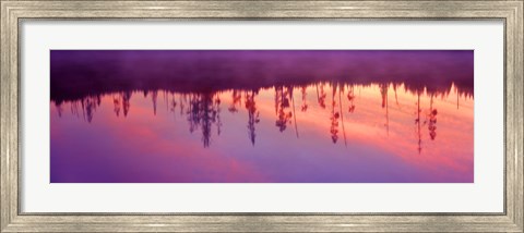 Framed Reflection of plants in a lake at sunrise, Taggart Lake, Grand Teton National Park, Wyoming, USA Print