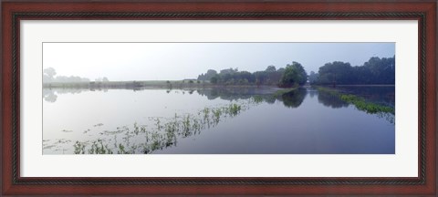 Framed Standing floodwater, Mississippi River, Illinois, USA Print