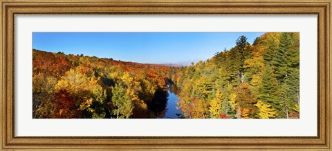 Framed Trees in Autumn at Dead River, Michigan Print
