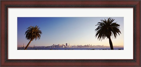 Framed Palm Trees At Dusk, San Francisco, California, USA Print