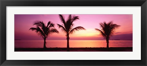 Miami Beach, Florida, USA Photograph by Panoramic Images at FramedArt.com