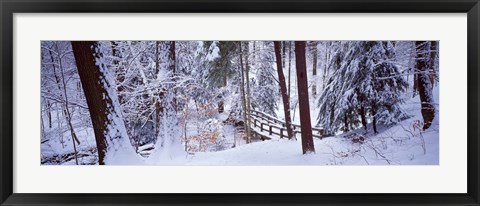 Framed Winter footbridge Cleveland Metro Parks, Cleveland OH USA Print