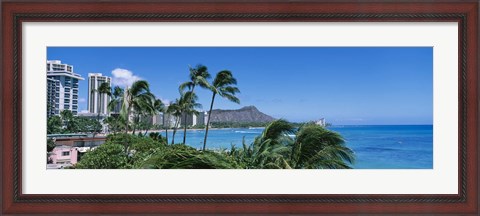 Framed Palm Trees On The Beach, Waikiki Beach, Honolulu, Oahu, Hawaii, USA Print