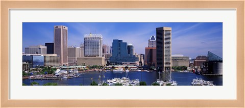 Framed Inner Harbor Federal Hill Skyline Baltimore MD Print