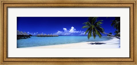 Framed Bora Bora South Pacific Print