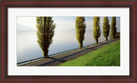 Framed Trees along a lake, Lake Zug, Switzerland Print