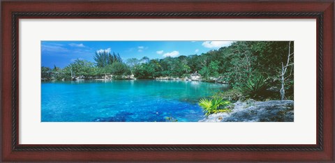 Framed Cozumel, Mexico Print