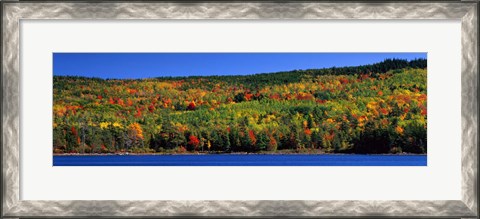 Framed Autumn Eagle Lake, Acadia National Park, Maine, USA Print