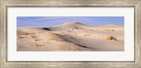 Framed Sand dunes on an arid landscape, Monahans Sandhills State Park, Texas, USA Print