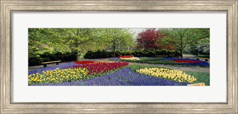 Framed Keukenhof Gardens, Lisse, Netherlands Print