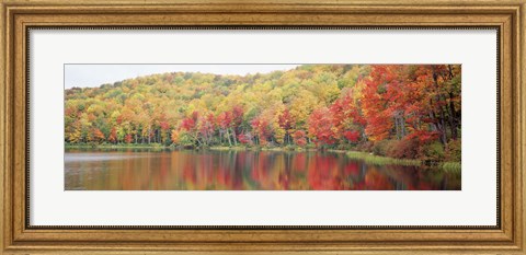 Framed Savoy Mountain State Forest, Massachusetts, USA Print