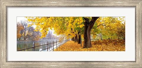 Framed Autumn Scene Munich Germany Print