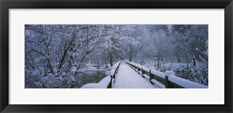 Framed Trees along a snow covered footbridge, Yosemite National Park, California, USA Print