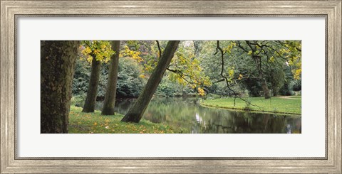 Framed Trees near a pond in a park, Vondelpark, Amsterdam, Netherlands Print