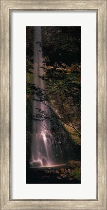 Framed Waterfall in a forest, Columbia Gorge, Oregon, USA Print