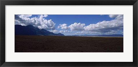 Framed Cattle pasture, Highway N7 from cape town to Namibia towards Citrusdal, Western Cape Province, South Africa Print