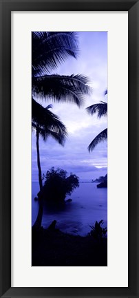 Framed Palm trees on the coast, Colombia (purple and blue) Print