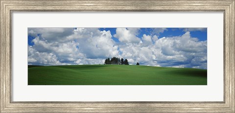 Framed Trees on the top of a hill, Palouse, Whitman County, Washington State, USA Print