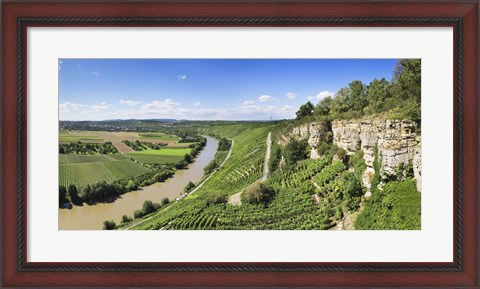 Framed High angle view of vineyards, Neckar River, Hessigheim, Baden-Wurttemberg, Germany Print