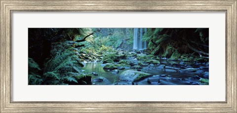 Framed Waterfall in a forest, Hopetown Falls, Great Ocean Road, Otway Ranges National Park, Victoria, Australia Print