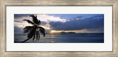 Framed Silhouette of coconut palm tree at sunset, from Anse Severe Beach, La Digue Island, Seychelles Print