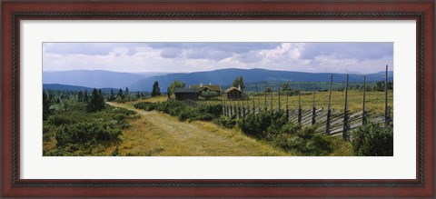 Framed Farmhouses in a field, Gudbrandsdalen, Oppland, Norway Print