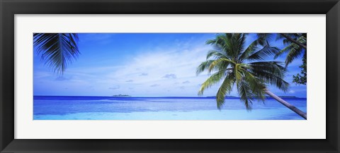 Framed Ocean, Island, Water, Palm Trees, Maldives Print