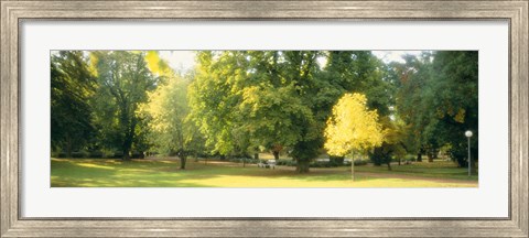 Framed Trees in a park, Wiesbaden, Rhine River, Germany Print