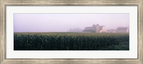 Framed Barn in a field, Illinois, USA Print