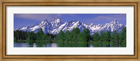 Framed Grand Tetons National Park WY Print