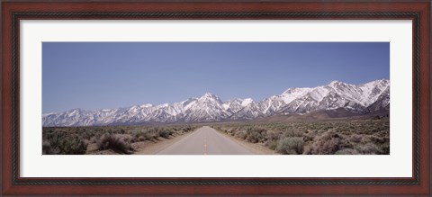 Framed USA, California, Sierra Nevada, Bushes on both sides of a road Print