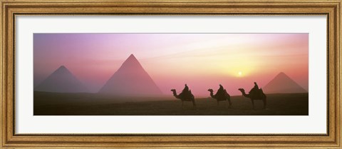 Framed Giza Pyramids Egypt Print