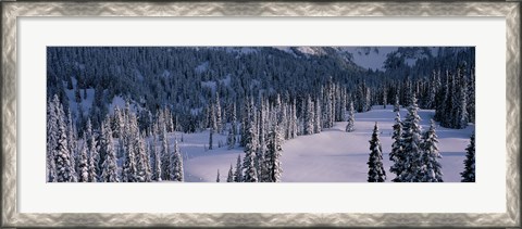 Framed Fir Trees, Mount Rainier National Park, Washington State, USA Print