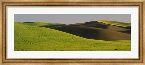 Framed Wheat Field On A Landscape, Whitman County, Washington State, USA Print