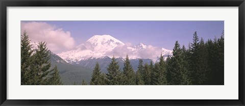 Framed Mt Ranier Mt Ranier National Park WA Print