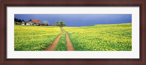 Framed Dirt road passing through a field, Germany Print