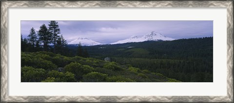 Framed Manzanita Trees in Deschutes National Forest Print