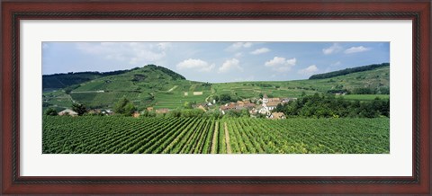 Framed Vineyards near a village, Oberbergen, Der Vogelsangpass, Bereich Kaiserstuhl, Baden-Wurttemberg, Germany Print