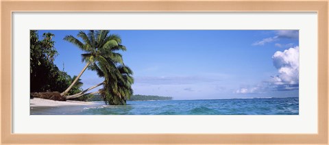 Framed Palm trees on the beach, Indonesia Print