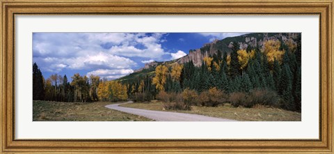 Framed Road passing through a forest, Jackson Guard Station, Ridgway, Colorado, USA Print