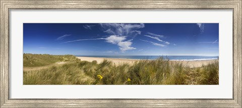 Framed Marram Grass, dunes and beach, Winterton-on-Sea, Norfolk, England Print