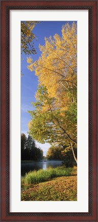 Framed River flowing through a forest, Dal River, Sweden Print