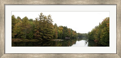 Framed Reflection of trees in the Musquash River, Muskoka, Ontario, Canada Print