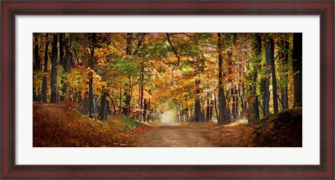 Framed Horse running across road in fall colors Print