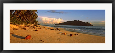 Framed Coconuts on a palm lined beach on North Island with Silhouette Island in the background, Seychelles Print