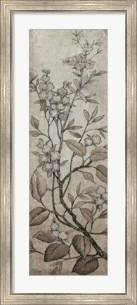 Framed Branch &amp; Blossoms I Print