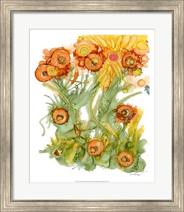 Framed Sunlit Poppies III Print