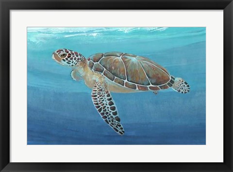 Framed Ocean Sea Turtle II Print